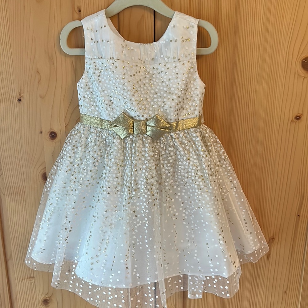 Jona Michele little girl size 2T holiday dress